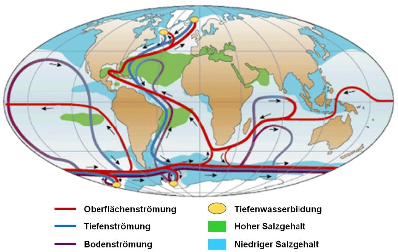In einer Weltkarte sind warme und kalte Meeresströmungen gekennzeichnet, darunter der Golfstrom.