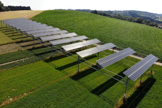 Doppelte Nutzung: Solarstrom und Ackerbau auf einem Feld, dabei sind lange Solarpaneele auf hohen Gerüsten angebracht.