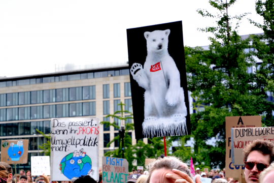 Demonstration am Invalidenpark in Berlin. Menschen demonstrieren mit Eisbär- und anderen Plakaten für mehr Klimaschutz.