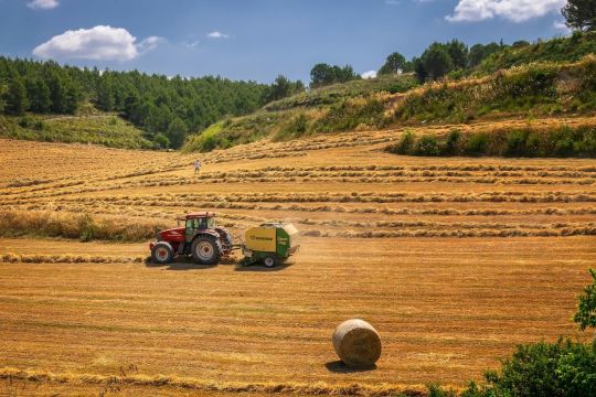 Getreideernte auf einem Feld in hügeliger Landschaft in Deutschland. Die richtigen Marktinstrumente können die Landwirtschaft von Grund auf nachhaltig machen.