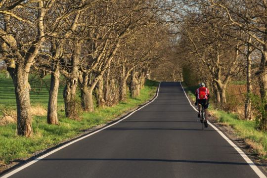 Radfahrer in sportlicher Fahrradkleidung und mit Helm fährt auf einer recht schmalen, von Bäumen gesäumten Landstraße.