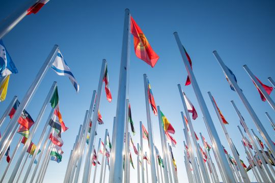 Fahnen der UN-Länder vor schönem blauen Himmel