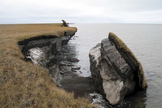 Von der mit Tundra-Vegetation bewachsenen Steilküste ist ein großer Block abgebrochen und liegt fast hochkant im Meer, man kann gut die Bruchkante mit dem weiß gefärbten Permafrostboden sehen.