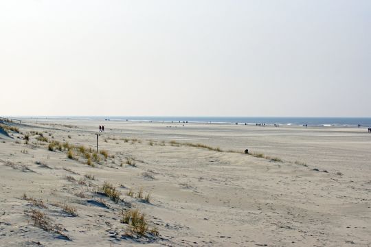 Sandstrand, karg bewachsen, im Hintergrund kleiner Streifen blaues Meer und kalt-heller Himmel