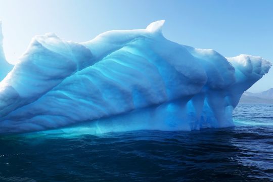 Ein bläulich schimmernder, aus dem Wasser aufragender kleiner Eisberg schwimmt auf dem Meer vor der Insel Grönland.