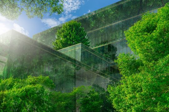 Grüne Bäume wachsen auf einem Bürogebäude aus Glas und Stahl. 