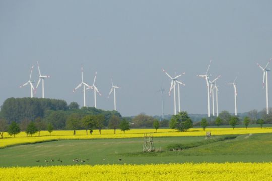 Windpark in offener Landschaft mit Raps- und anderen Feldern.