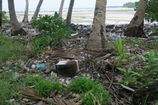 Hier ist Plastik- und Elektromüll zu sehen, achtlos zwischen die Palmen am Strand geworfen.