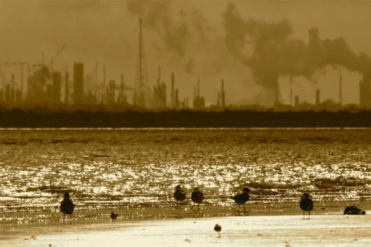 Exxon-Mobil-Raffinerie