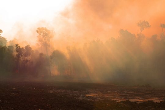 Waldbrand in Australien.