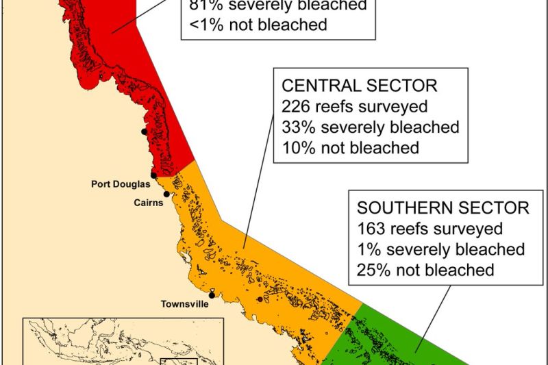 Great Barrier Reef 2017
