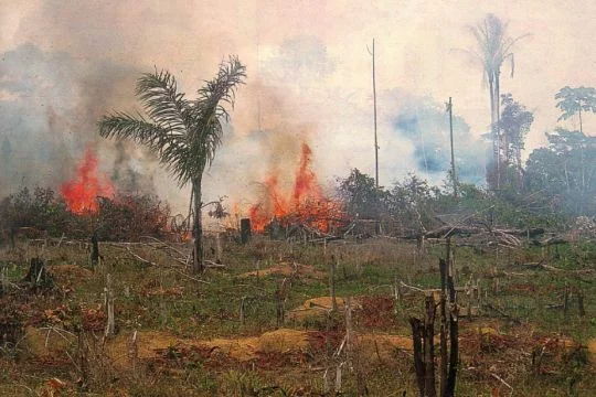 Brandrodung Brasilien
