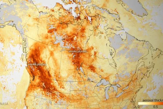 Kanada Waldbrände August 2017