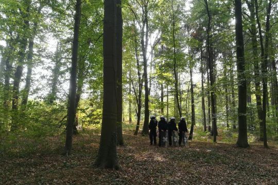 Vier Polizisten in schwerer Uniform und mit Helm stehen zwischen Waldbäumen herum.
