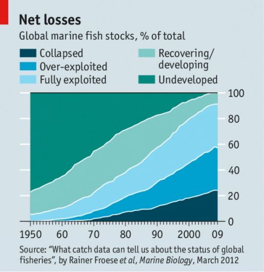 Graphik zu den Verlusten in den globalen Fischbeständen