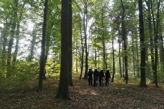 Eine Gruppe von Polizisten im Hambacher Forst