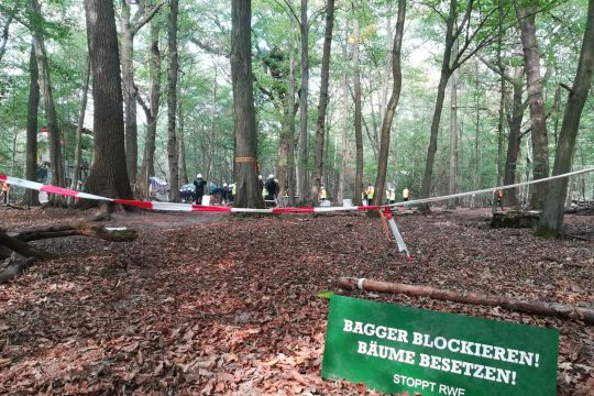 Protestplakat gegen RWE im Hambacher Forst