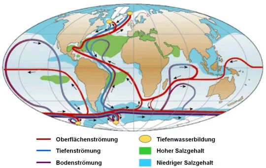 In einer Weltkarte sind warme und kalte Meeresströmungen gekennzeichnet, darunter der Golfstrom.