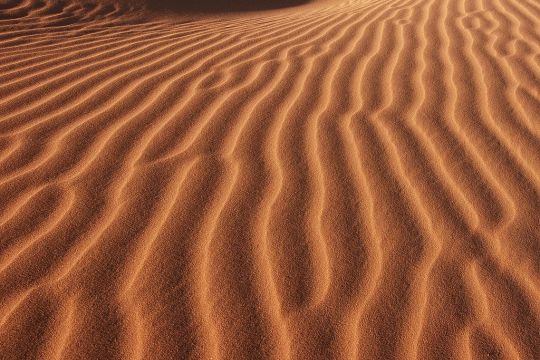 Vom Wind geformte Wellen im Wüstensand in der Erg Chebbi in Marokko