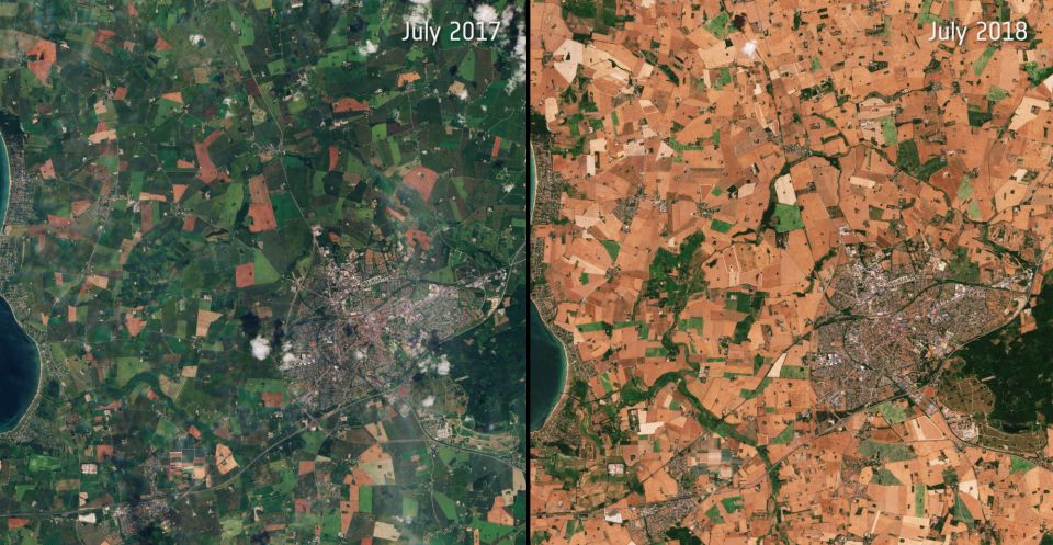 Satellitenaufnahmen von grünen Feldern im Juli 2017 und vertrockneten Feldern im Juli 2018 auf Sjælland in Dänemark.