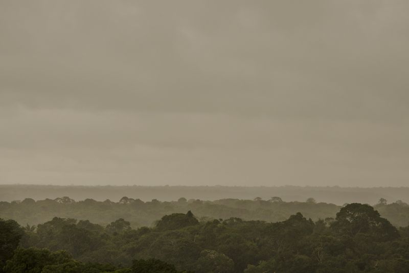 Dichte graue Wolkendecke über endlosem Amazonas-Regenwald.