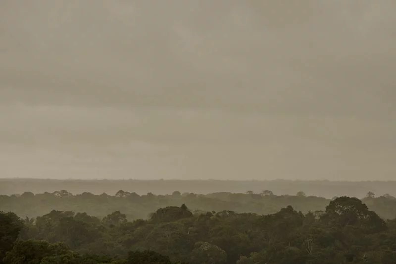 Dichte graue Wolkendecke über endlosem Amazonas-Regenwald.