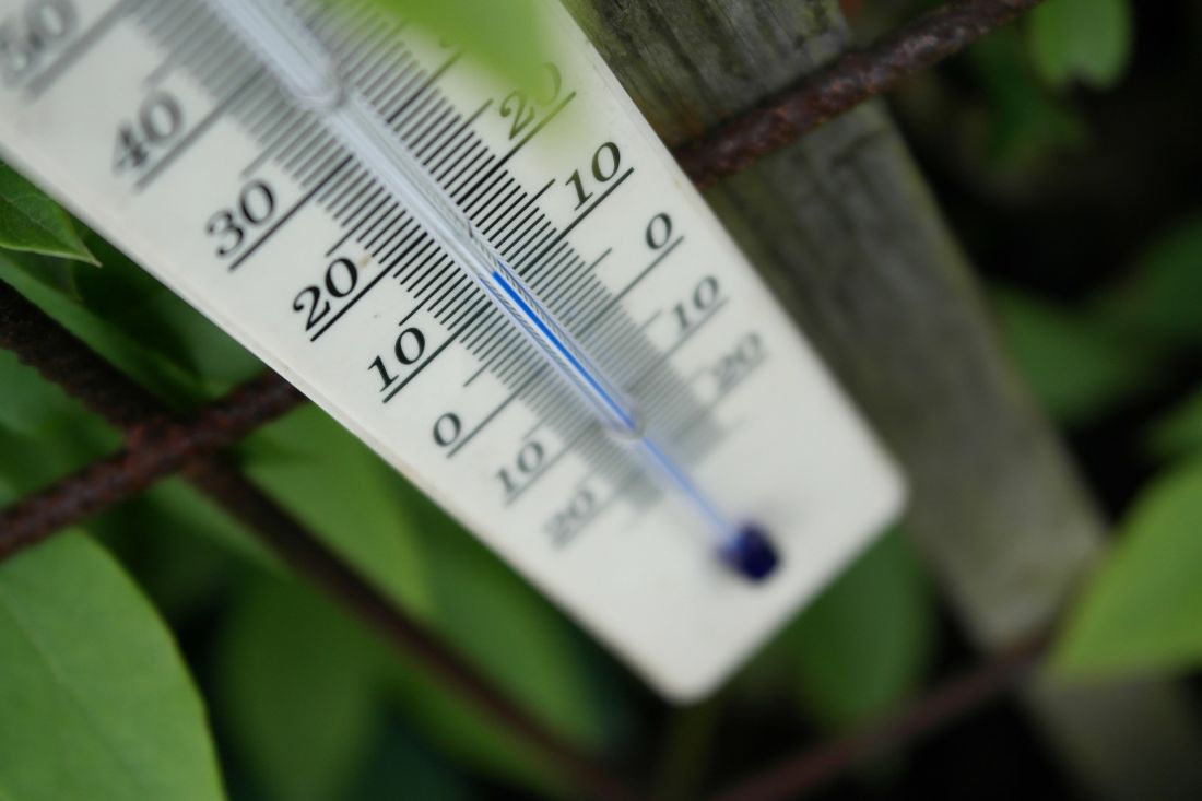 Ein Thermometer in einem Garten zeigt etwa 13 Grad an.