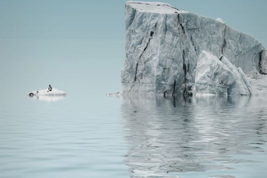 Eisberg in der Antarktis mit einem Pinguin