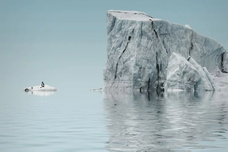 Eisberg in der Antarktis mit einem Pinguin.