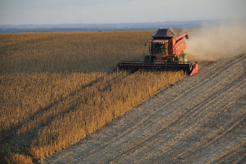 Ein Sojabohnen-Feld wird maschinell geernet.