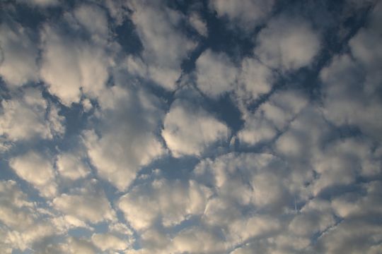 Stratocumulus-Wolken
