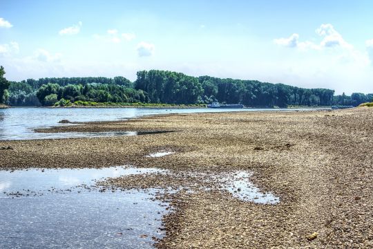 Blick auf den Rhein mit sehr niedrigem Pegelstand