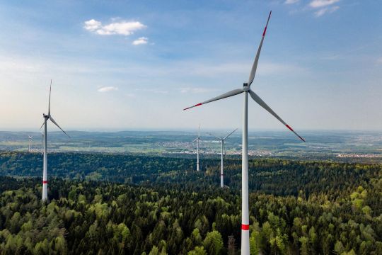 Blick über den Windpark Straubenhardt und den Schwarzwald.