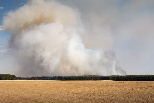 Qualm steigt von einem brennenden Wald auf