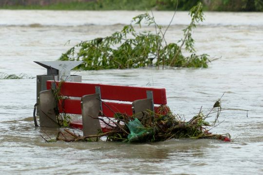 Eine Parkbank in Ulm wird von der Donau überflutet.