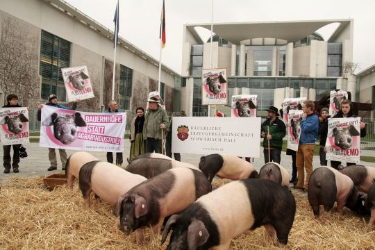 Einige schwarz-rosa Schweine stehen auf Stroh vor dem Bundeskanzleramt, dahinter einige ;enschen mit Transparenten: "Bauernhöfe statt Agrarindustrie".