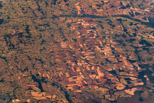 Entwaldeter Amazonas vom All aus gesehen