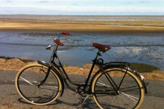 Ein Fahrrad steht an der Küste.