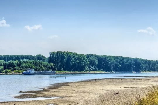 Rhein führt Niedrigwasser. 