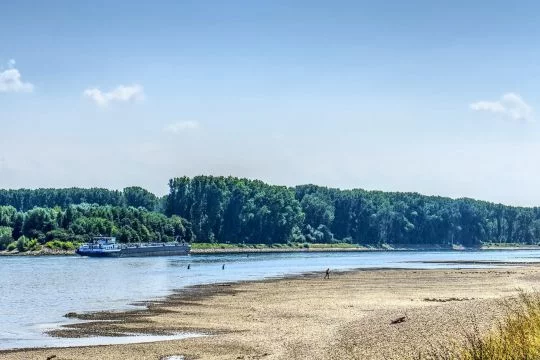 Rhein führt Niedrigwasser.