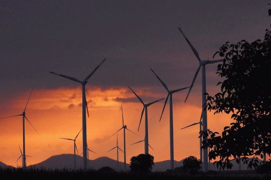 Windräder in der Abendsonne