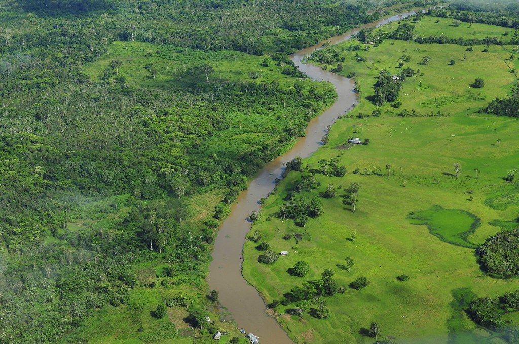 Luftaufnahme des Regenwaldes bei Manaus, der Hauptstadt des brasilianischen Bundesstaates Amazonas.