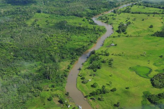 Luftaufnahme des Regenwaldes bei Manaus, der Hauptstadt des brasilianischen Bundesstaates Amazonas.