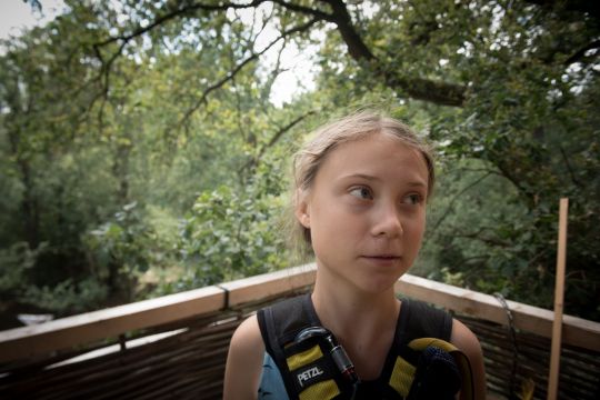 Greta Thunberg auf einem Baumhaus