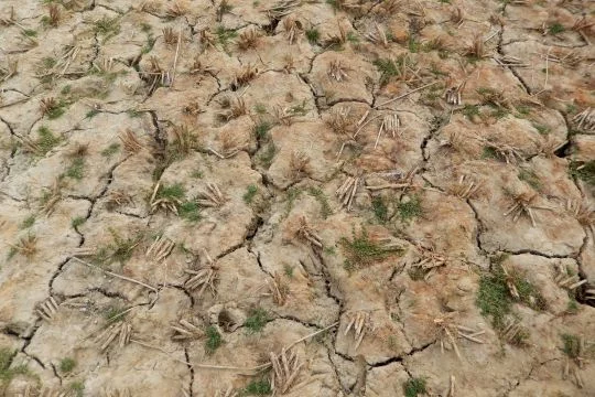 Nahaufnahme: Ausgetrockneter und versalzener Boden in Bangladesch