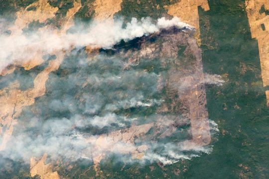 Aufnahme des brasilianischen Regenwalds von der ISS