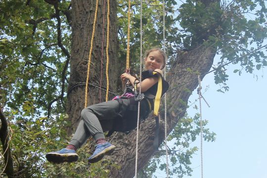 Greta Thunberg hängt in Kletterseilen an einem Baum