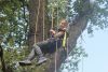 Greta in den Seilen: Thunberg wird zu einem Baumhaus hochgezogen