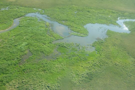 Ein von einem Biber aufgestauter Fluss in Alaska