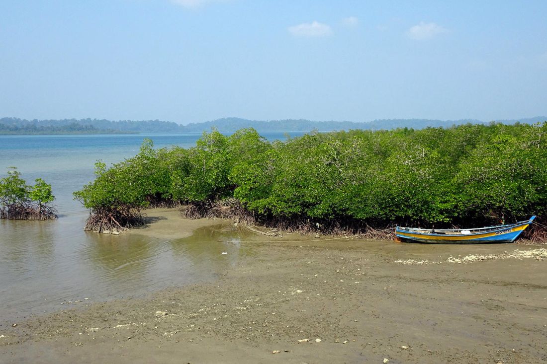Ein Boot vor einem Mangrovenwald auf den Andamanen am Rand des Indischen Ozeans.